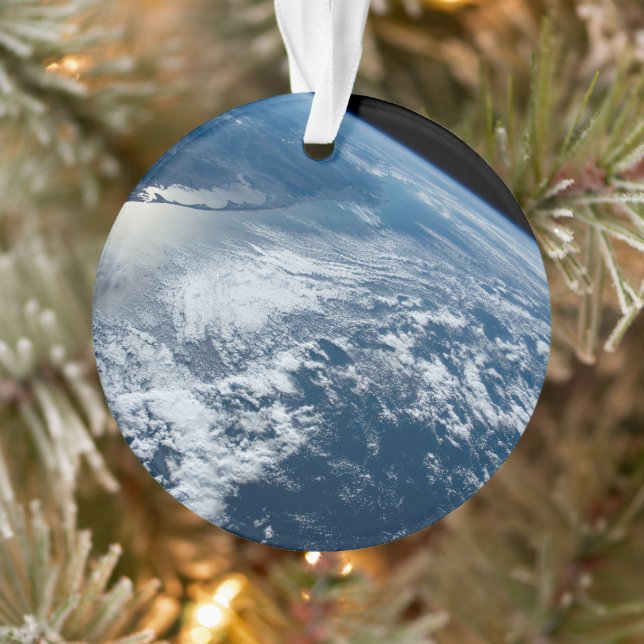 The Southern Tip Of Brazil Bordering Uruguay. Ornament (Tree)