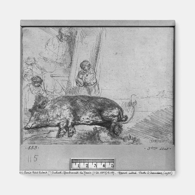 The Sow, 1643 Magnet (Front)