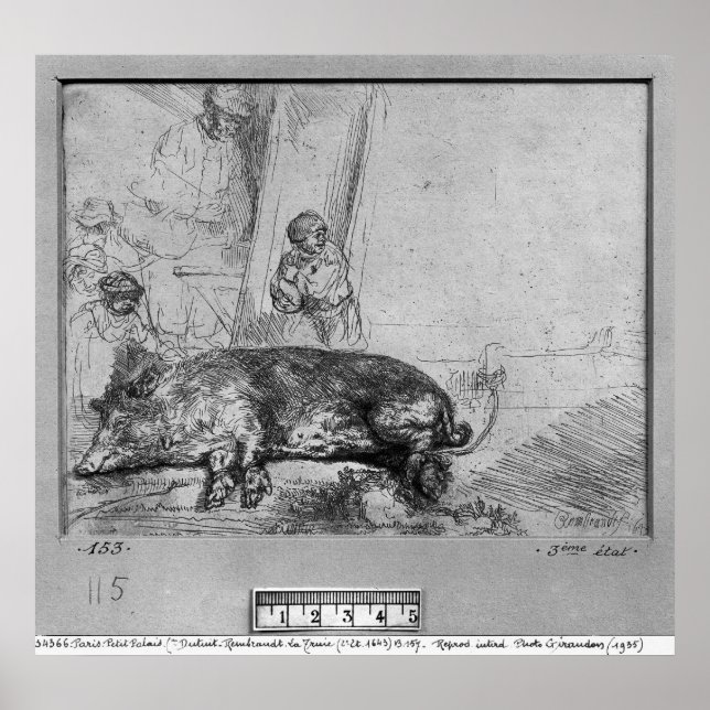 The Sow, 1643 Poster (Front)