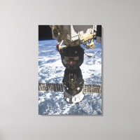 The Soyuz TMA-19 spacecraft