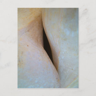 The Space Between Postcard