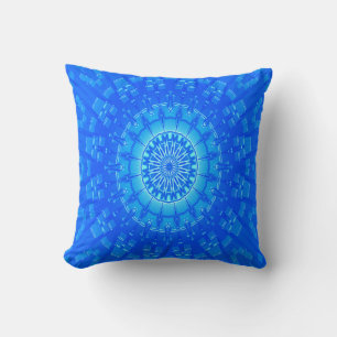 The Space Shuttle.... Cushion