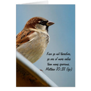 The Sparrow