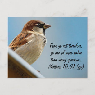The Sparrow Postcard