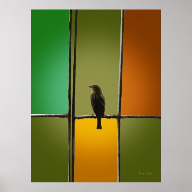 The Sparrow Poster (Front)