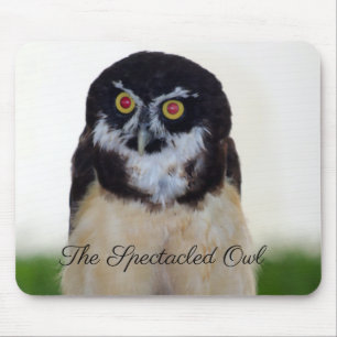 The Spectacled Owl Mouse Mat