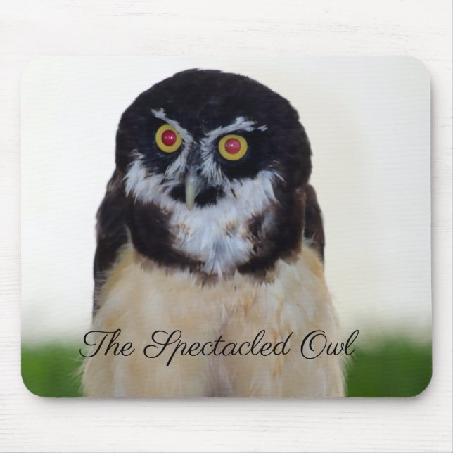 The Spectacled Owl Mouse Mat (Front)