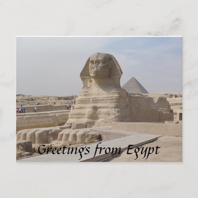 The Sphinx,Cairo Postcard (Front)
