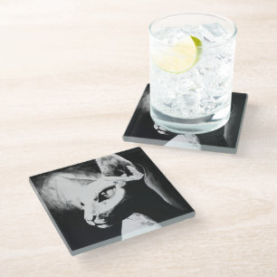 The Sphynx Cat Feline Black & White Original Art Glass Coaster