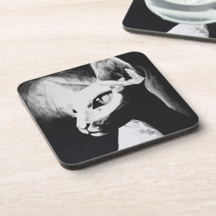 The Sphynx Cat Hairless Kitty Black & White Art Coaster