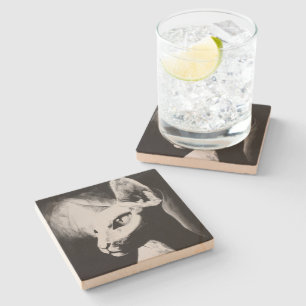 The Sphynx Cat Hairless Kitty Black & White Art Stone Coaster