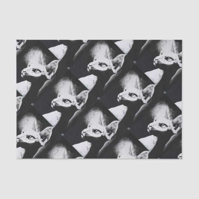 The Sphynx Cat Hairless Kitty Pet Black White Art Tissue Paper (Front)