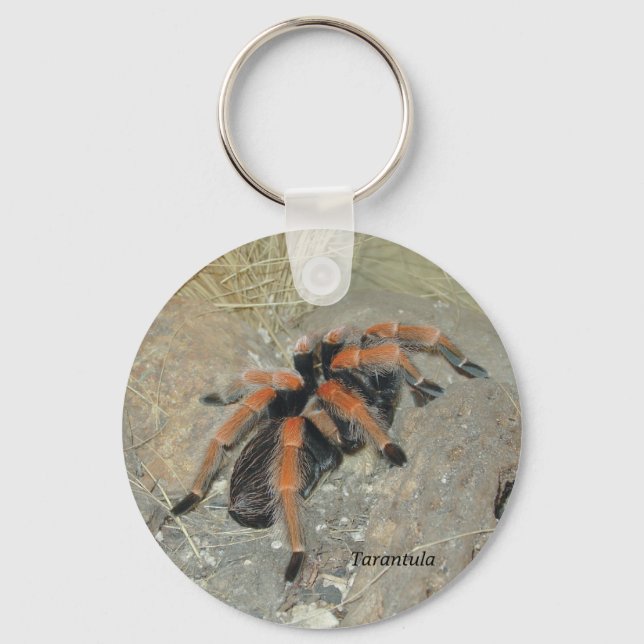 The Spider pix, Tarantula Key Ring (Front)
