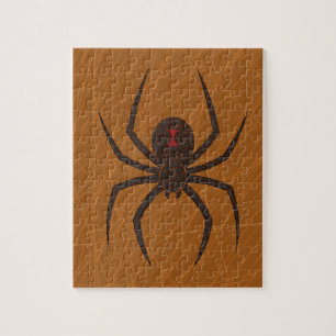 The Spider's Web Puzzle