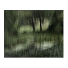 The Spring Abstract Nature Photography