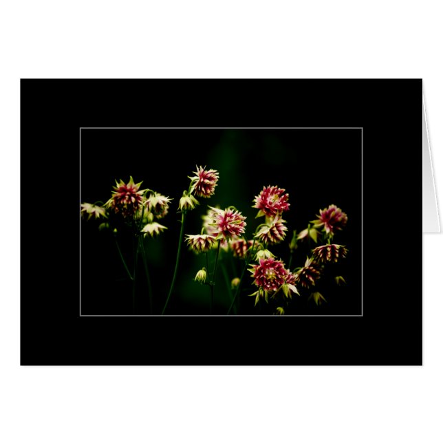 The Spring Choir (Front Horizontal)