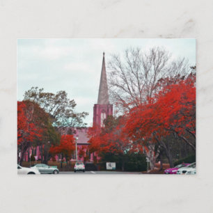 The Spring in the countryside Postcard