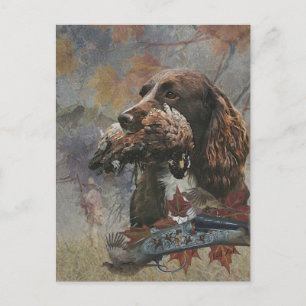 The Sprocker Spaniel , Gun dog art Postcard