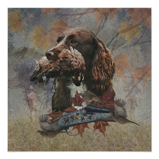 The Sprocker Spaniel , Gun dog art     Poster (Front)