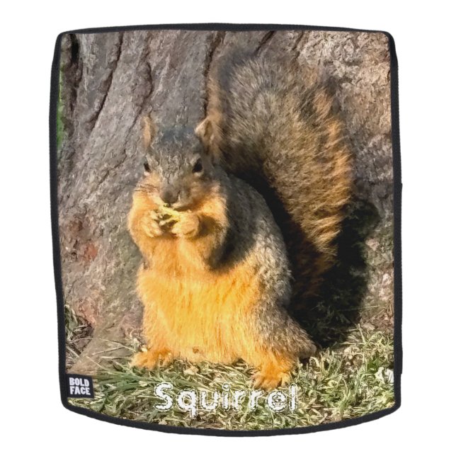 The Squirrel Backpack (Removable Face)