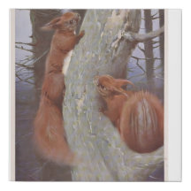 THE SQUIRREL (Sciurus vulgaris)