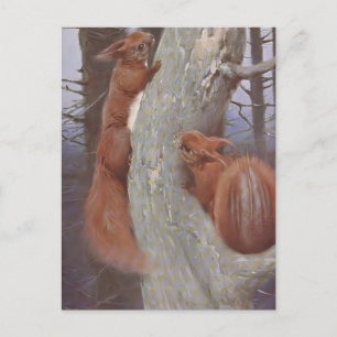 THE SQUIRREL (Sciurus vulgaris) Postcard