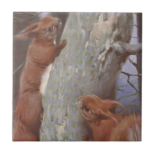 THE SQUIRREL (Sciurus vulgaris) Tile