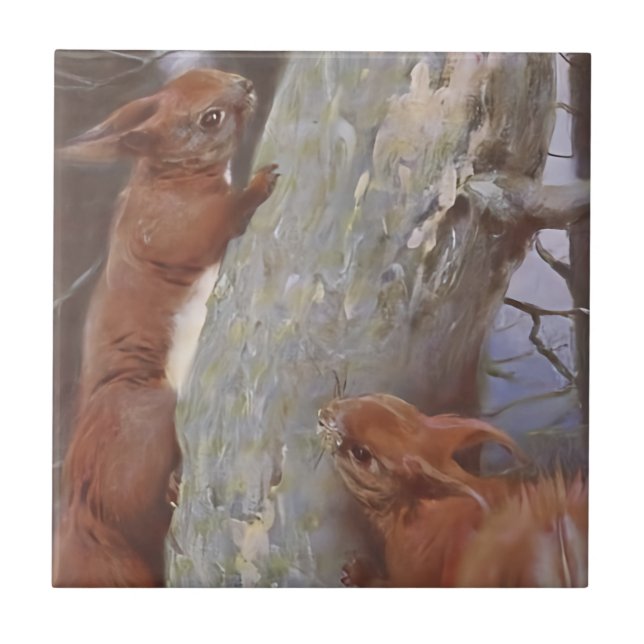 THE SQUIRREL (Sciurus vulgaris) Tile (Front)