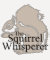 The Squirrel Whisperer