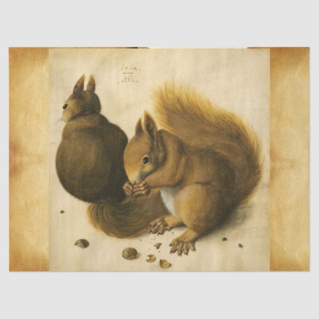 THE SQUIRREL WITH NUTS Albrecht Durer Parchment  Tissue Paper (Front)