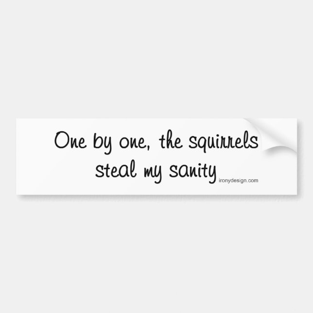 The squirrels steal my sanity bumper sticker (Front)