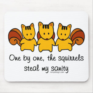 The squirrels steal my sanity mouse mat