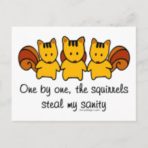 The squirrels steal my sanity
