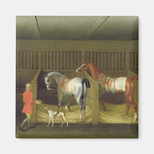 The Stables and Two Famous Running Horses belongin Magnet