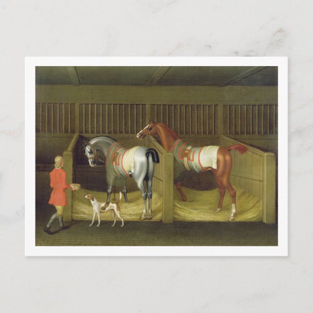 The Stables and Two Famous Running Horses belongin Postcard (Front)