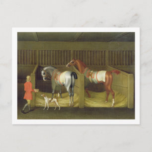 The Stables and Two Famous Running Horses belongin Postcard