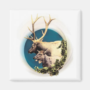 The Stag and The Hind Magnet