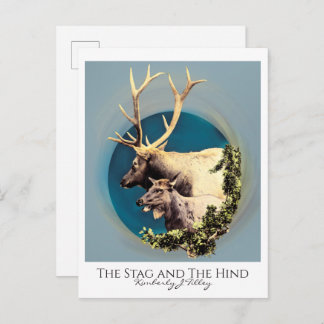 The Stag and The Hind Postcard