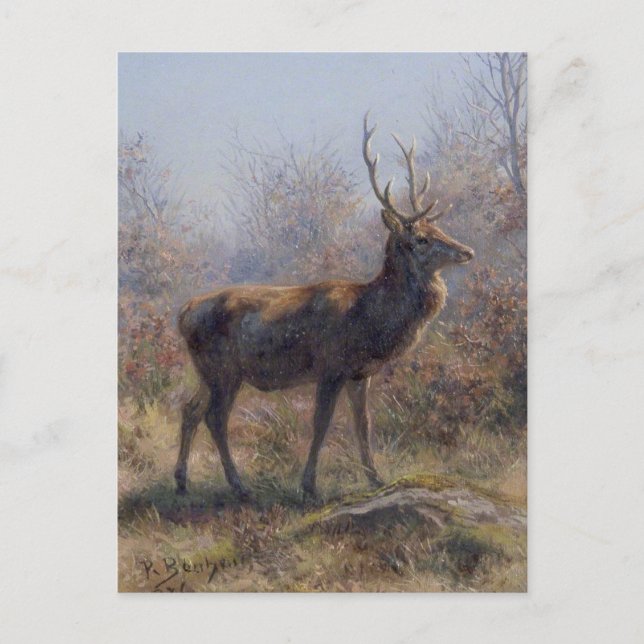 The Stag by Rosa Bonheur Postcard (Front)