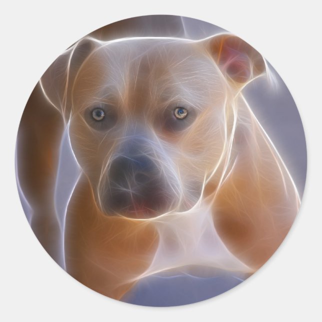 The Stance Classic Round Sticker (Front)