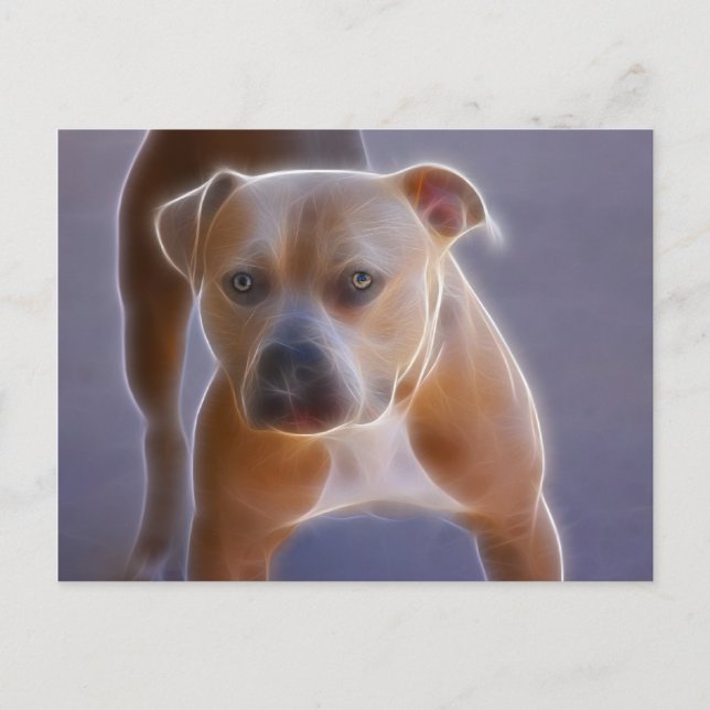 The Stance Postcard (Front)