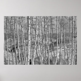 The Stand in White Poster