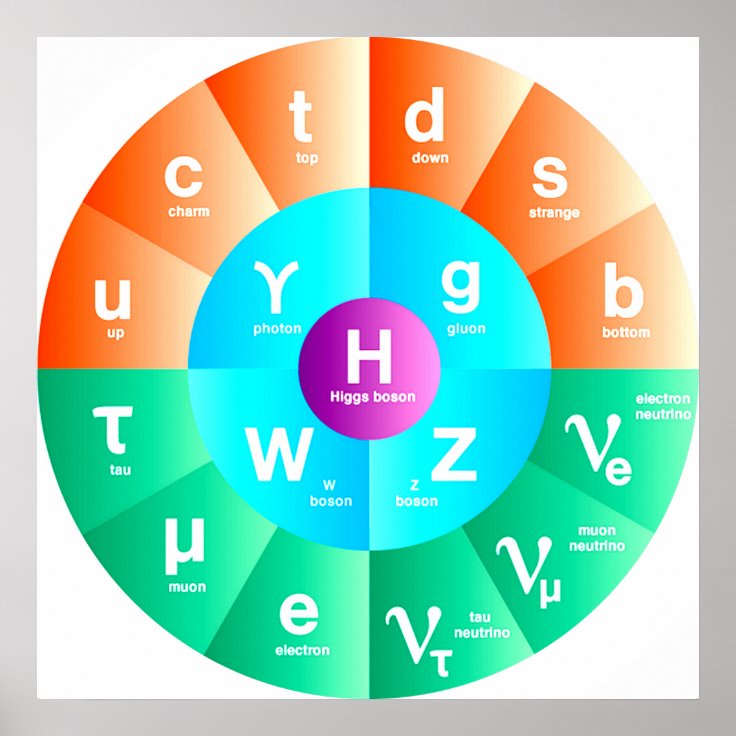 The Standard Model of Particle Physics Poster Zazzle