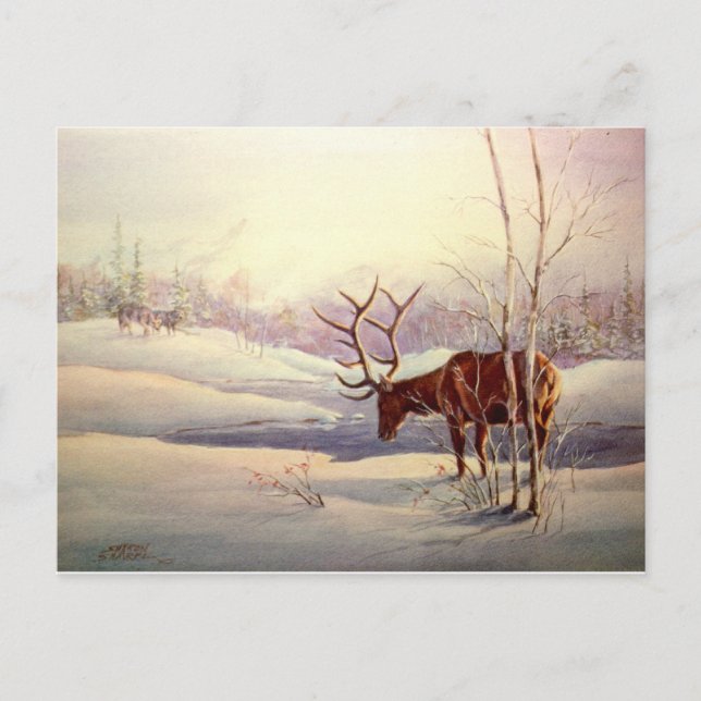 The STANDOFF by SHARON SHARPE Postcard (Front)