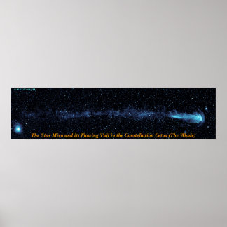 The Star Mira With Flowing Tail Poster