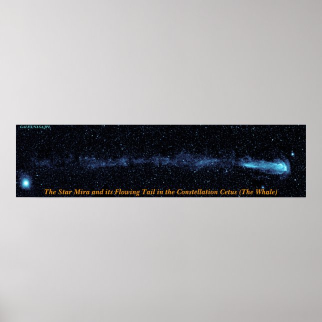 The Star Mira With Flowing Tail Poster (Front)