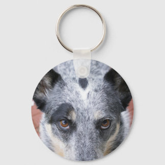 The Stare Down - a cowdog look Key Ring