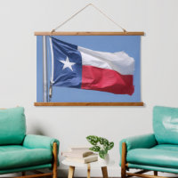 The State Flag of Texas