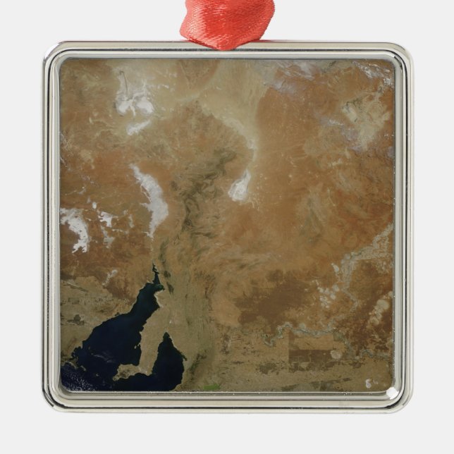 The state of South Australia Metal Tree Decoration (Front)