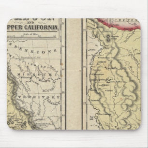 The State Of Texas Mouse Mat